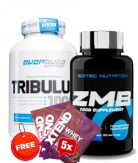 PROMO STACK ZMB6 + TRIBULUS